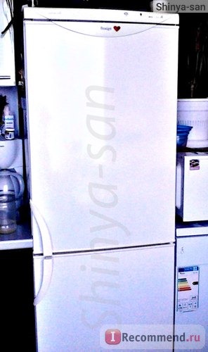 Двухкамерный холодильник Snaige RF360-1801A фото