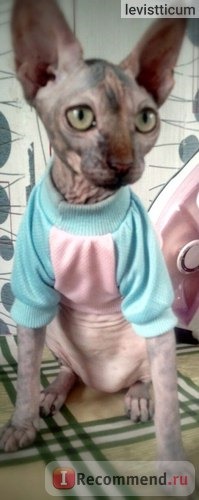 Одежда для собак Aliexpress Кофта для кошек и собак Dog Cat Grid Sweater Puppy Warm Coat T-Shirt Pet Clothes Shirt Dog Apparel Cartoon print Dog Clothes DropShipping фото