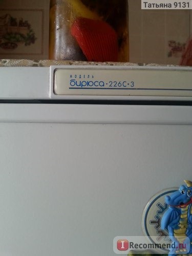 Двухкамерный холодильник Бирюса фото