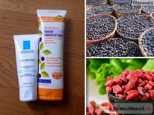 Крем для лица Freeman Good Stuff Organics Antioxidant Facial Moisturizer, Goji Berry & Acai (Антиоксидантный увлажняющий, с ягодами годжи и асаи) фото