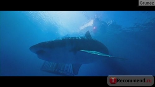 Синяя бездна / Johannes Roberts' 47 Meters Down / Страх глубины / In the Deep фото