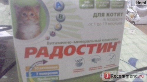 Витамины АВЗ Витаминно-минеральный комплекс Радостин для котят в возрасте от 1 до 19 месяцев фото