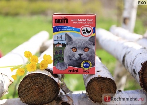 Корм для кошек Бозита (Bozita) Mini Кусочки в соусе фото