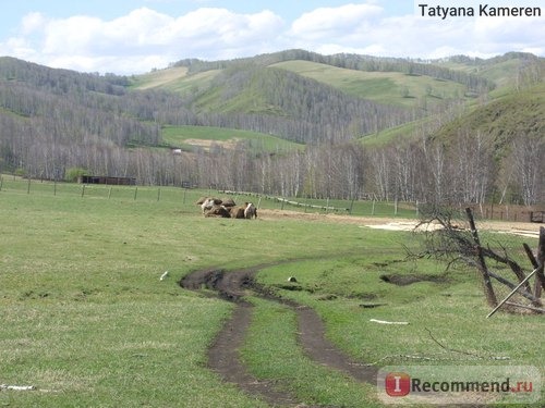 Каимское, Россия, Алтайский край фото