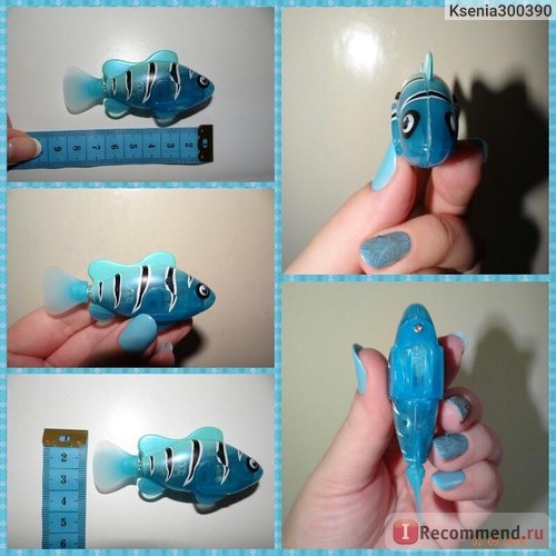 ZURU Inc Robo Fish: Роборыбка (плавает в воде) фото
