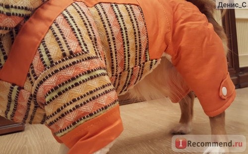 Одежда для собак Aliexpress 2016 New Pet Cat Dog Costume Warm Winter Dogs Clothes Hoodie Harness Coats Cute Stripe Orange Dog Jumpsuit Rompers for Chihuahua фото