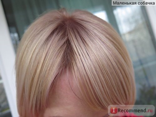 Краска для волос Wella Professional KOLESTON Perfect фото