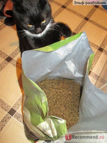 Acana GRASSLANDS CAT сухой беззерновой корм для кошек и котят фото