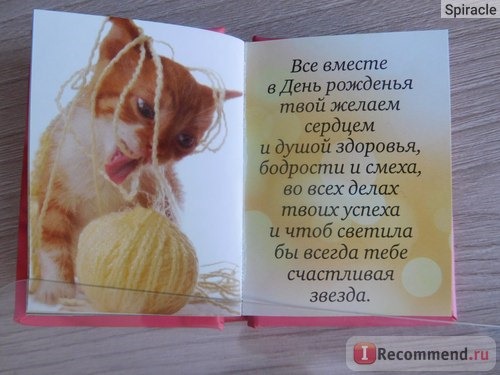 С днем рождения (котенок) Издательство Книжка С Фишкой фото