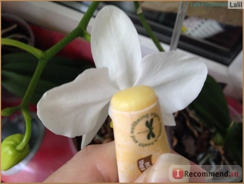 Бальзам для губ Organic essence lip balm almond фото