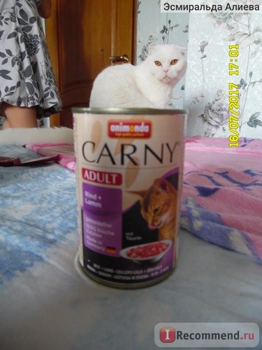 Корм для кошек ANIMONDA Консервы для кошек с говядиной и ягненком, Carny Adult Rind + Lamm фото