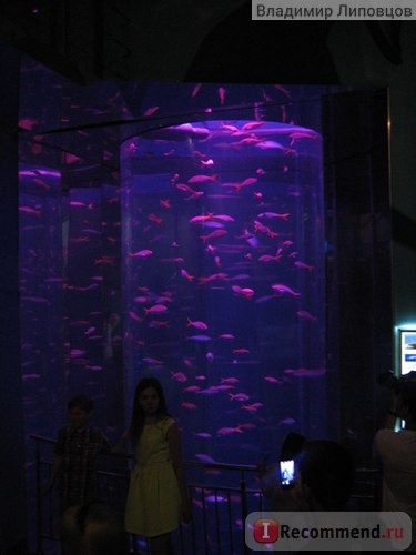 аквариум с подсветкой