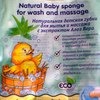 Детская мочалка Babyline Натуральная губка Конняку для купания и массажа с Алое фото