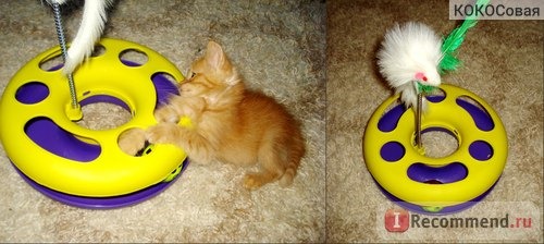 Игрушки для животных ЗооСфера Игрушечное колесо с шариком и мышью на пружине фото