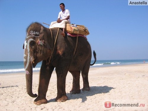 Можно покататься на слоне. Пляж Бенаулим. Гоа. Индия.