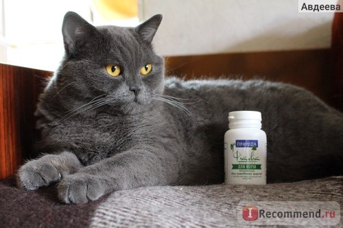 Витамины Природа Фитовит. Фитокомплекс для выведения шерсти + профилактика мочекаменной болезни у котов фото