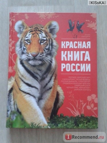 Красная книга России. Оксана Скалдина фото