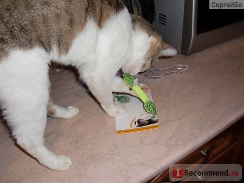 Игрушки для животных Petstages Для котят при прорезывании зубов с кошачьей мятой фото