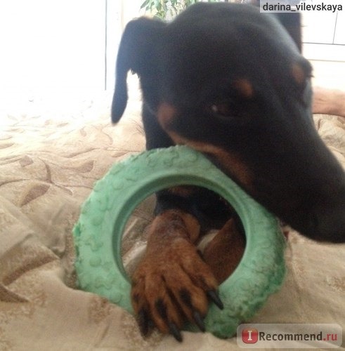 Игрушка для собак SUM-PLAST - резиновое кольцо (шина) с запахом ванили фото