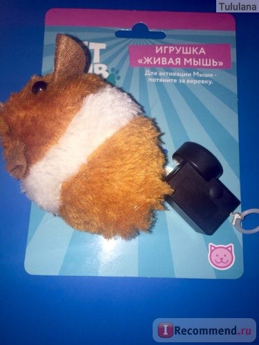 Игрушки для животных Fix Price Живая мышь фото