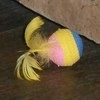 Игрушки для животных TRIOL Радужный мяч с перышками фото