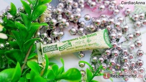 Бальзам для губ Organic essence Organic Lip Balm Mint фото