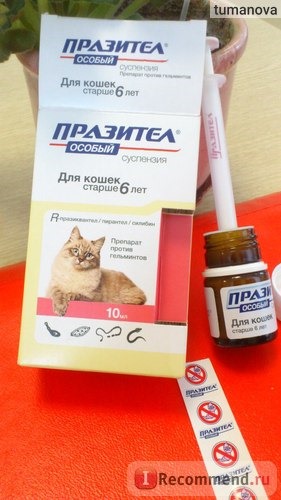 Антигельминтики Празител Особый суспензия для кошек старше 6 лет фото