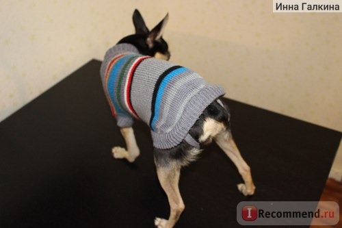 Одежда для собак TRIOL Свитера для животных фото