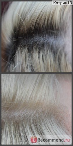 Краска для волос Goldwell Topchic Professional Hair Color (стойкая) фото