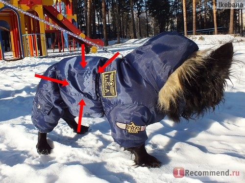 Одежда для собак Aliexpress Теплый комбинезон Warm Dog Jumpsuit ,Red Dog Clothes.Brand New Pet Dog Coat фото