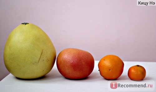 помело, грейпфрут, апельсин, мандарин