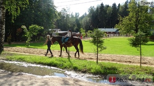 Зубровник в Токсово, Санкт-Петербург фото