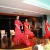 шоу фламенко в холле отеля