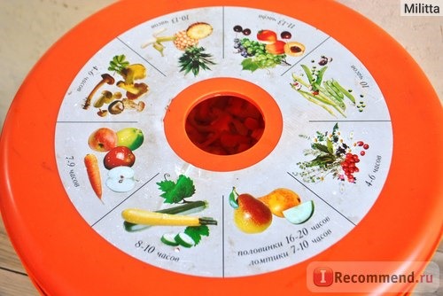 Электросушилка для овощей и фруктов 