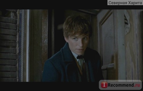 Фантастические *xxxxx* и где они обитают / Fantastic Beasts and Where to Find Them фото