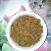 Acana GRASSLANDS CAT сухой беззерновой корм для кошек и котят фото