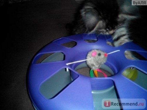 Игрушки для животных Karlie Карусель с мышью и мячом фото