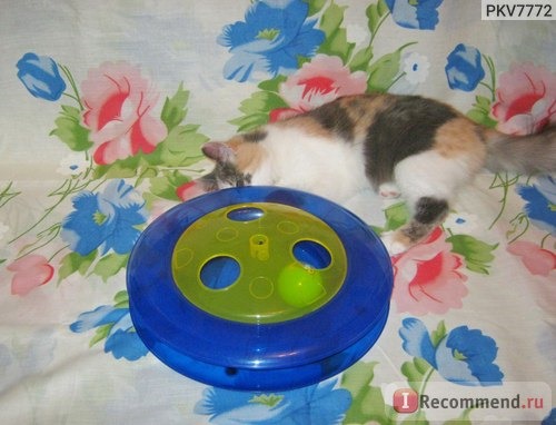 Игрушки для животных Petstages для кошек 