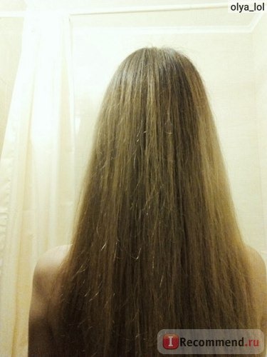 Шампунь Сибирское здоровье Эди Шэди (Магия) для роста волос Зеленая серия фото