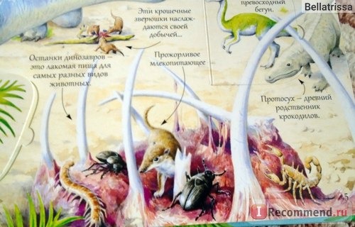 Открой тайны динозавров. Издательство Робинс, Алекс Фрис фото