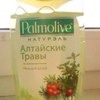 Гель для душа Palmolive Натурэль Алтайские травы фото