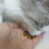 Pro Plan Sterilised сухой корм с индейкой для кастрированных и стерилизованных кошек фото