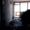 Запретная зона / Chernobyl Diaries фото