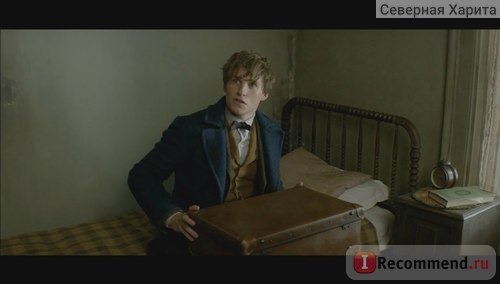 Фантастические *xxxxx* и где они обитают / Fantastic Beasts and Where to Find Them фото