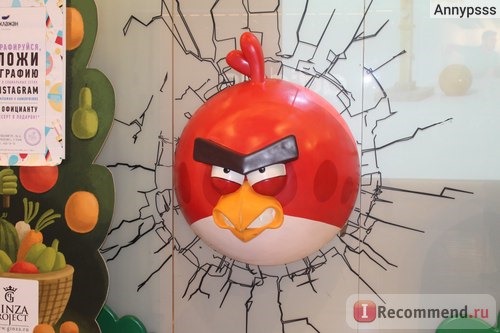 Парк активного отдыха Angry birds, Санкт-Петербург фото