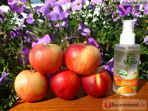 Спрей Mako Clean для мытья овощей и фруктов фото