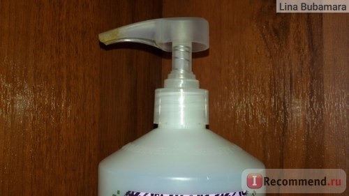 Шампунь Everyday Shea Moisturizing Shampoo, Lavender (Увлажняющий шампунь, Лаванда) фото