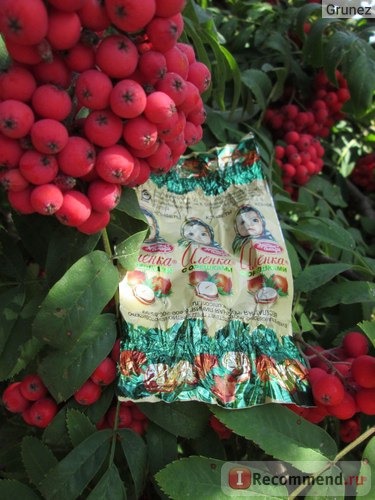 Конфеты Красный октябрь Аленка с орешком фото