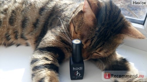 Гель-лак для ногтей Kodi Professional Gel Polish фото