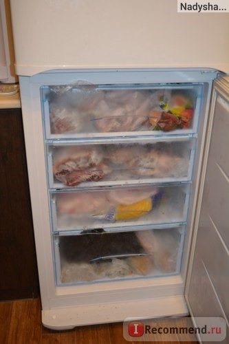 Двухкамерный холодильник Бирюса 129S фото